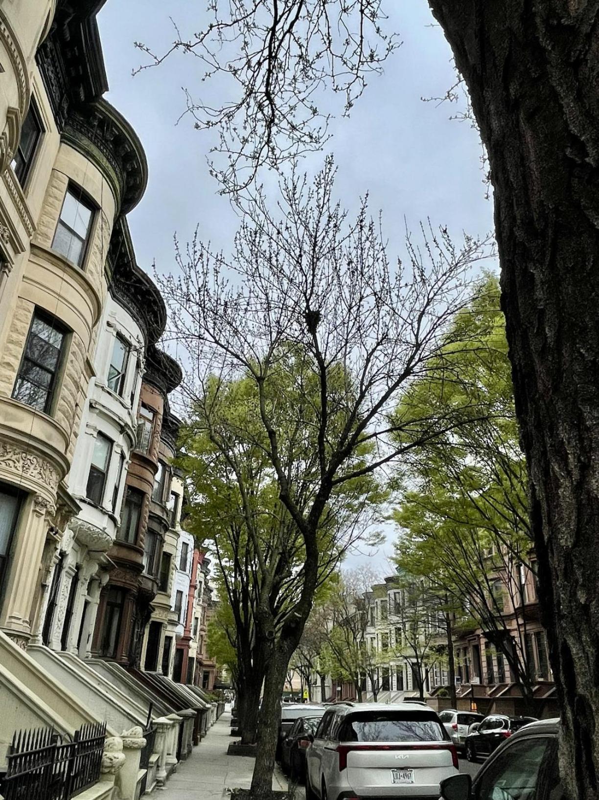 Nyc Townhouse Hotel 2*